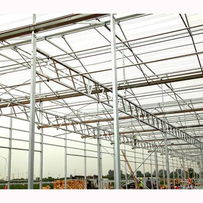 China PC sheet venlo polycarbonate sheet greenhouse for planting tomatoes for sale