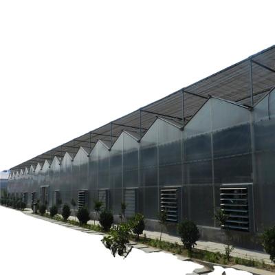 China High Strength Agriculture Polycarbonate Greenhouse In Africa for sale