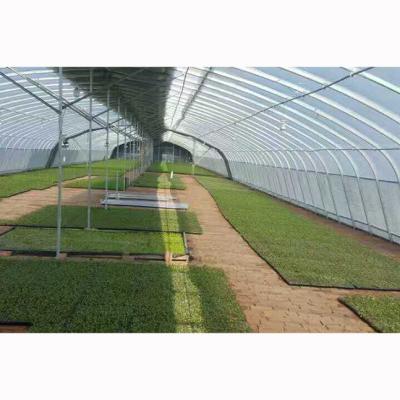 China High strength greenhouses for agricultural tomatoes for sale