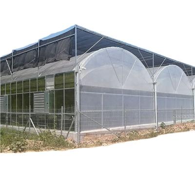 China High Strength Agriculture Blackout Greenhouse For Sale for sale