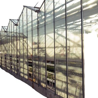 China Hot Selling PC Sheet Agricultural Multispan With Cooling System And External Sunshade System Customized PC Sheet Greenhouse For Sale for sale