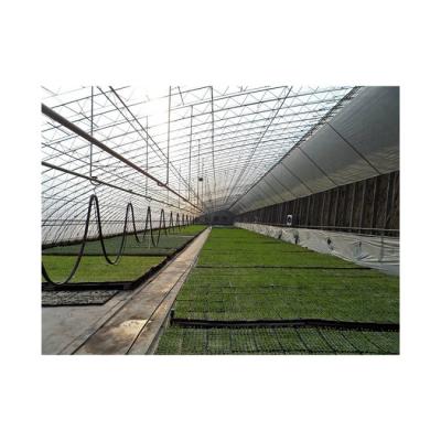 China Wholesale New China Supplier High Strength Customized Practical Solar Agricultural Light Weight Greenhouse For Sale for sale