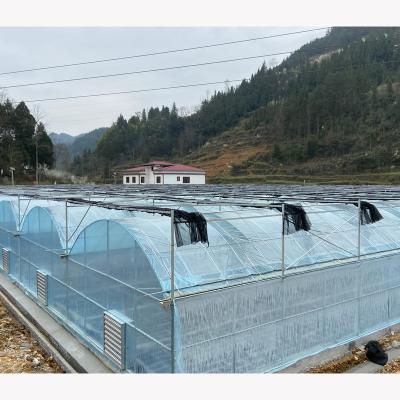 China High strength low price in-solar greenhouses made in China for sale