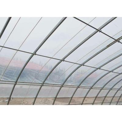 China High strength single-span greenhouses made in China for sale