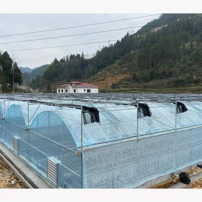 China High Strength Low Cost Solar Agricultural Greenhouses For Australia Market for sale