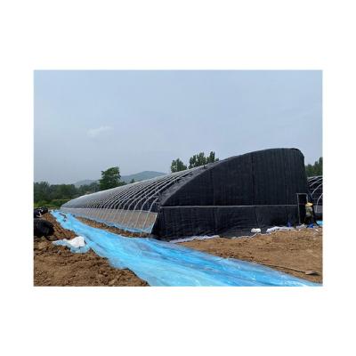 China Factory direct sales new efficient and professional customizable high strength solar greenhouse for agriculture for sale