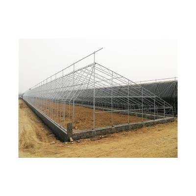 China High Strength Manufacturers Supply Customized Size Made In China New Steel Structure Solar Greenhouse For Vegetable Fruit And Flower for sale