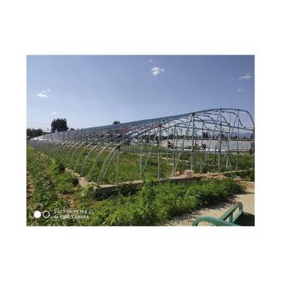 China High Strength Chinese Supply Accept Customization Simple And Convenient Operation New Full Solar High Quality Insulated Green House for sale