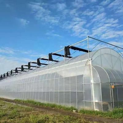 China High Strength Low Cost Single Span Film Tunnel Greenhouse for sale