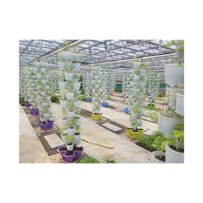 China High Strength High Quality Customized Size Made In China Spiral Cultivation A Soilless Planting Bowl for sale