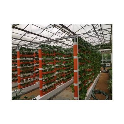 China Customized Practical Permeable Strawberry High Strength China Supplier Wholesale Size Hydroponics for sale