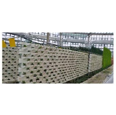 China High Strength Manufacturers Supply Customized Size Made In China Hydroponic Wall Grow System for sale