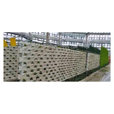 China High Water Resistance Customizable Grow Wall Long Lifespan Hydroponic Plant Supply Systems for sale