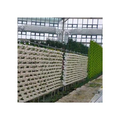 China High Strength Agricultural System Multi-span Greenhouses Film CN high strength, good quality and long service life; Custom of SHN for sale