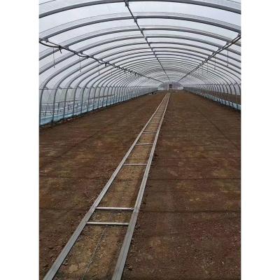 China High Strength Cheap Agricultural Greenhouses For South Africa Market for sale