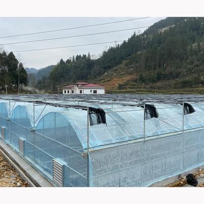 China High Strength Invernadero Agriculture Greenhouse for sale