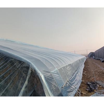 China Agricultural China Greenhouse High Strength Structure For Planting Vegetables for sale