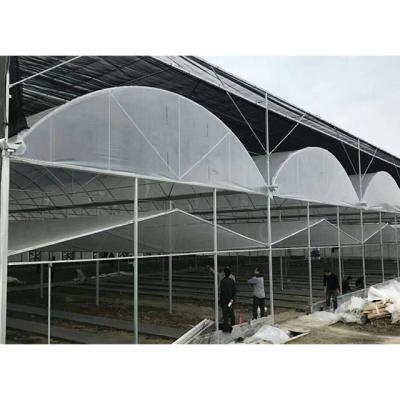 China Green House Running Commercial Fast Delivery Plastic Sheet Hydroponic Multi-span Agricultural Greenhouse High Strength for sale