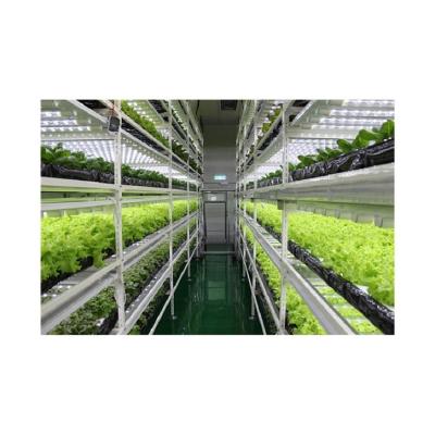 China High Strength Chinese Supply Accept Marine Vegetable Cultivation Box Planting Simple And Convenient Operation Customization Box for sale