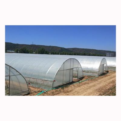 China High Strength Single 8*20m Built Quick Install Film Tunnel Greenhouse for sale