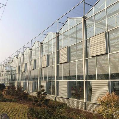 China Good quality greenhouse high strength comprehensive technology for agriculture multi span commercial glass greenhouse for sale for sale