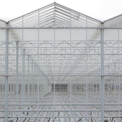 China High Strength Commercial Climate Multi Span Glass Greenhouse For Sale Controller Greenhouse Made In China for sale