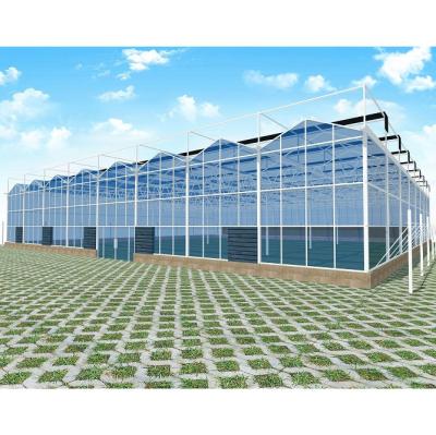 China Glass factory wholesale high strength terraced glass greenhouse for vegetables for sale