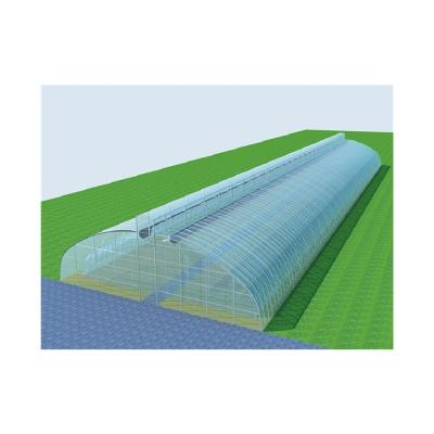 China High Strength Chinese Arch Supply Double Membrane Insulation Arch Laid Greenhouse Structure Plastic Sheet for sale