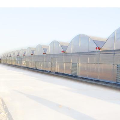 China High Strength Multi-Span Agriculture Film Greenhouses For Dirty Full Plastic Sheds Small Hydroponic Green Houses Led To Grow Vertical Lights for sale