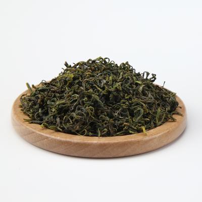 China 2021 Rizhao High Price Natural Nature High Supply Fresh Green Teas for sale