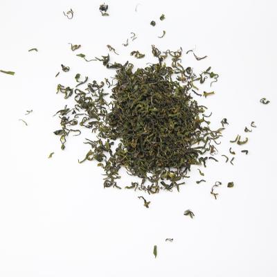 China China Rizhao Natural Natural Chinese Green Tea From High Natural Factory for sale