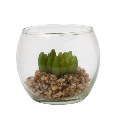 China Traditional Artificial Clear Potted Orchid Plant Small Artificial Succulent Plants for sale