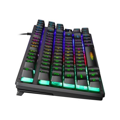 China Plug and Play RGB Cool Feeling Mechanical Keyboard , Laptop Gaming Keyboard 87 Keys Waterproof With Multimedia Function Keys for sale