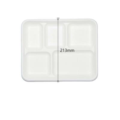 China Sugar Cane Environmentally Friendly Disposable Paper Bagasse Tableware Food Five Compartment Biodegradable Dinner Dish 260x210x24.3MM for sale