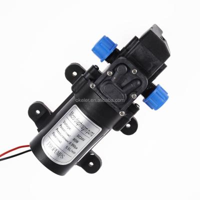 China High Pressure Water Pump DC 24V 6L/min 80W Micro Diaphragm Water Pump Best Selling Automatic Switch for sale