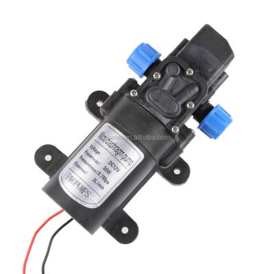 China Suits for Caravan New Arrival DC 12V 3L/min High Pressure Irrigation Water Pump for sale