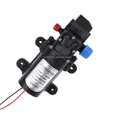 China Water DC 12V 5L/min 60W Mini Electric Portable Car Wash Water Pump With Auto Switch for sale