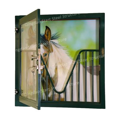 China Durable Standard Equine Equipment 1m*1m HDG Or Dutch Powder Coated Horse Barn Window for sale