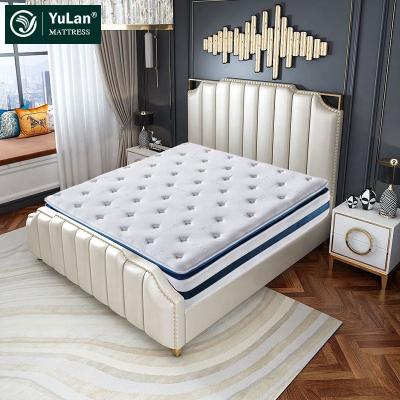 China Foldable Custom Fitted Anti Mite Quilted Fabric Mattress Sponge Foam Mattress Bed Mattress à venda