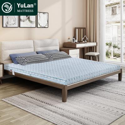 Cina Good Supplier Sleeping Medical Bed Mattress Foshan Comfortable Mattress Gold Memory Foam Foldable + High Soft Foam Home Furniture in vendita