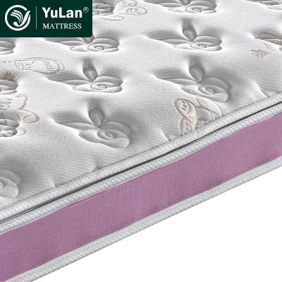 China Foldable Natural Anti Dust Mites Sleep Sheet Environmental Mattress 50 Density Latex Mattress for sale