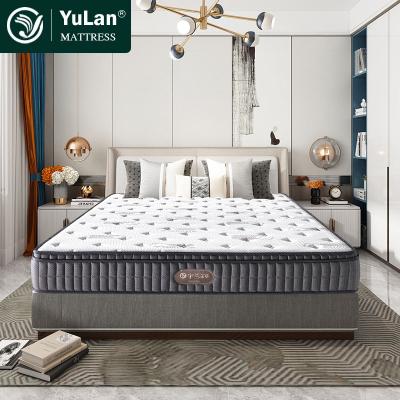 Κίνα Foldable Hot Selling Cheap Latex Foam Mattress Queen Size Pocket Spring Hotel Bed Mattress προς πώληση