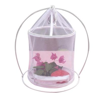 China Habitat Viable Cage Mini Greenhouse Butterfly Folding Insect and Butterfly Net for sale