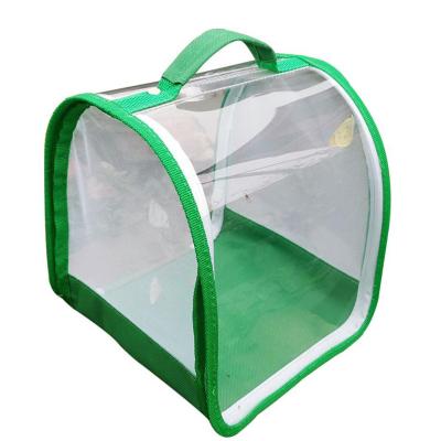 China Transparent Viable Viewing Caterpillar Butterfly Growing Mesh Cage Insect and Butterfly Mesh Reptile Cage for sale