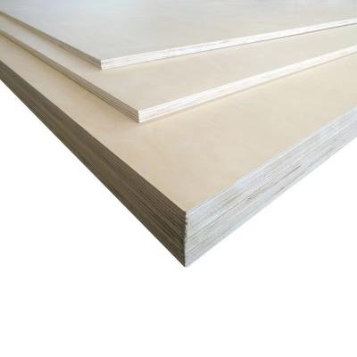 China E1 Grade 9-30mm Birch Marine Plywood Modern Waterproof Plywood For Sideboard for sale