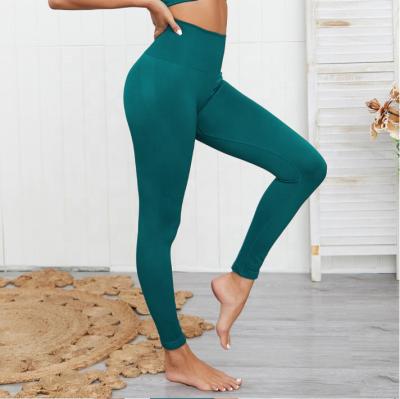 China 2019 Winter Seamless Leggings Pants Eco-Friendly Breathable Fitness Sports Gaiters Gaiters For Women for sale