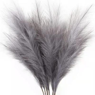 China New Arrivals Natural Amazon Decorative Flowers Hand Made Dry To Bloom Artificial Flowers Pampas Tall Pampas Grass for sale