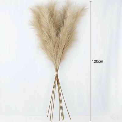 China Hand made artificial flowers for home deco and wedding decoration fake pampas grass 120cm for sale