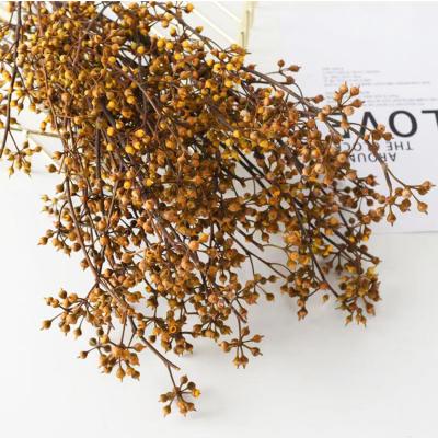 China Preserved by dry flower canned fruit hand made flower eucalyptus millet for wedding or party decoration for sale