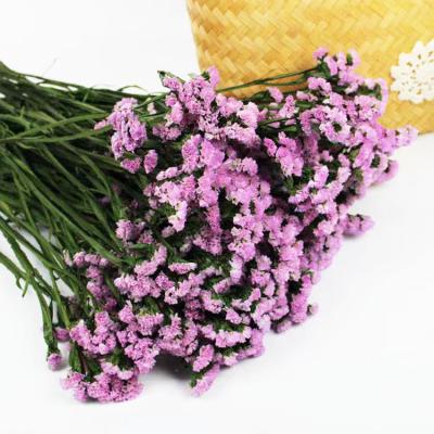 China Flower Forget Me Not 140-150g/bunch Flower Bunch Bouquet Wedding Decoration Forget Me Not Forget Me Not for sale